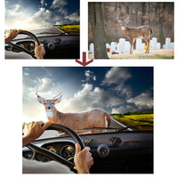 Photo Manipulation