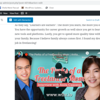 WordPress Management