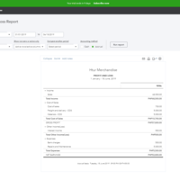 Profit  & Loss Statement