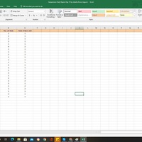 Daily Report