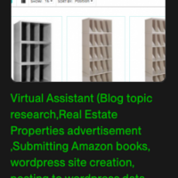 Portfolio Thumbnail 1