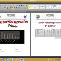Using Excel with Grapical Representation 