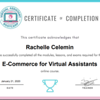 I have completed an online E-Commerce course
