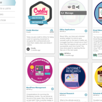 Badges from Virtual Assistant training