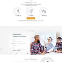 Website