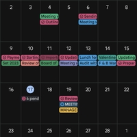 Calendar Manager: "Time Management Specialist"