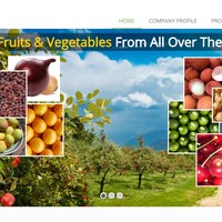 Portfolio Thumbnail 1