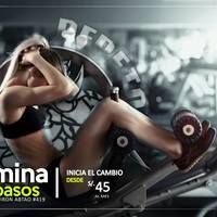 Portfolio Thumbnail 4