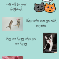 Infographic Sample