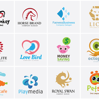 Portfolio Thumbnail 0