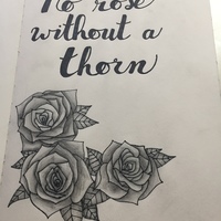 No Rose Without A Thorn