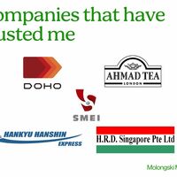 Companies That Trusted Me