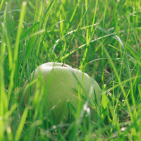 Macro photography