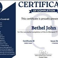 Certificate of completion of the In-Demand IT SKILLS .