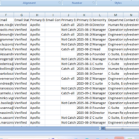 Lead generation using Apollo – verified B2B contacts