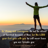 sample quotes dsign