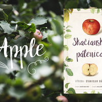 Distillery Bottle Label - Apple