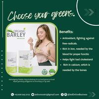 Portfolio Thumbnail 14