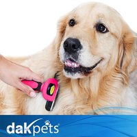 Dak Corp dba DaKpets