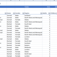 Large database spreadsheet