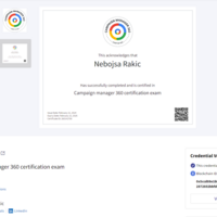 Campaign Manager 360 Google Skillshop Certificate