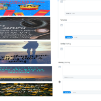 Social Media Management