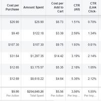 Facebook AD's Results