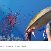 Magento - https://www.browntrout.com/