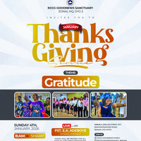 Portfolio Thumbnail 36