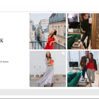 SEO/Website Management