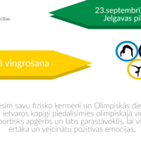 Portfolio Thumbnail 14