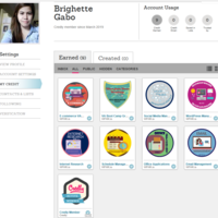 Credly Learning Badges