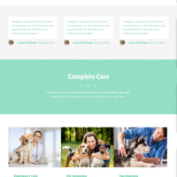 Veterinarian Design