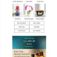 Screenshot of an Email Campaign setup for a client