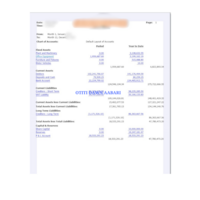 Statement of Financial Position with Sage 50