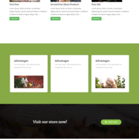 Portfolio Thumbnail 2