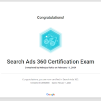 Search Ads 360 Google Skillshop Certificate