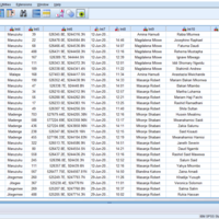 Data Analysis - SPSS