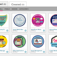 VA Skills Badges