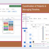 Project management