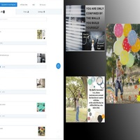 Social Media Management