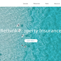 Portfolio Thumbnail 3