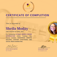 SEO Training with WORDPRESS,CONTENT STRATEGIES AND SSM