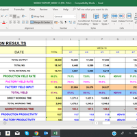 Weekly Report