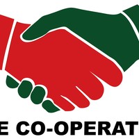 Portfolio Thumbnail 20