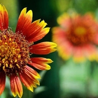 Portfolio Thumbnail 7