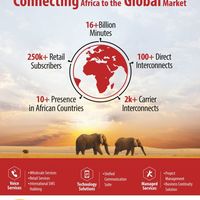 Portfolio Thumbnail 7