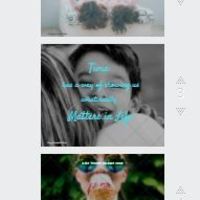 Graphic Design (Canva)