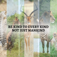 Portfolio Thumbnail 4