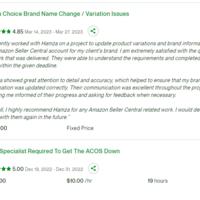 Upwork Client review